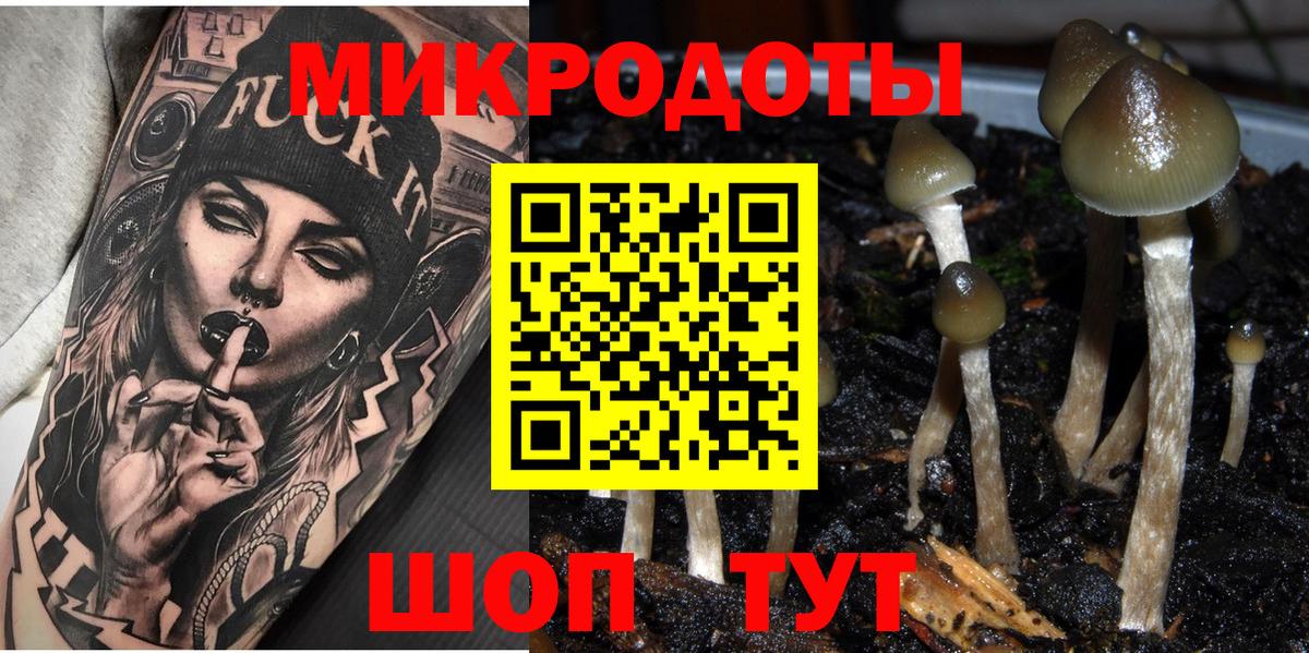 Псилоцибиновые грибы Psilocybine cubensis Усть-Илимск
