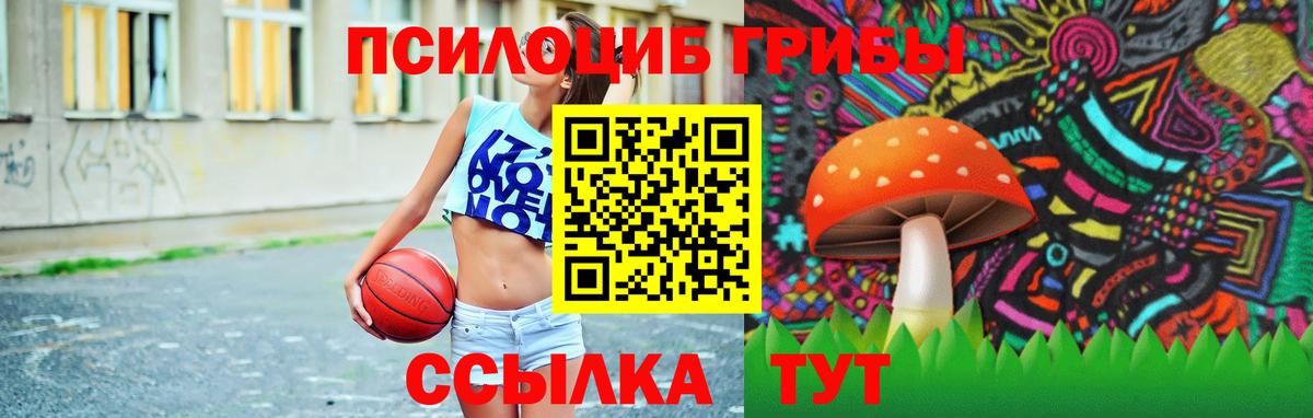 Усть-Илимск  Псилоцибиновые грибы мухоморы  Псилоцибиновые грибы Psilocybe  Вход с VPN 